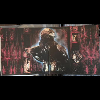 SATYRICON Nemesis Divina LP BLACK [VINYL 12